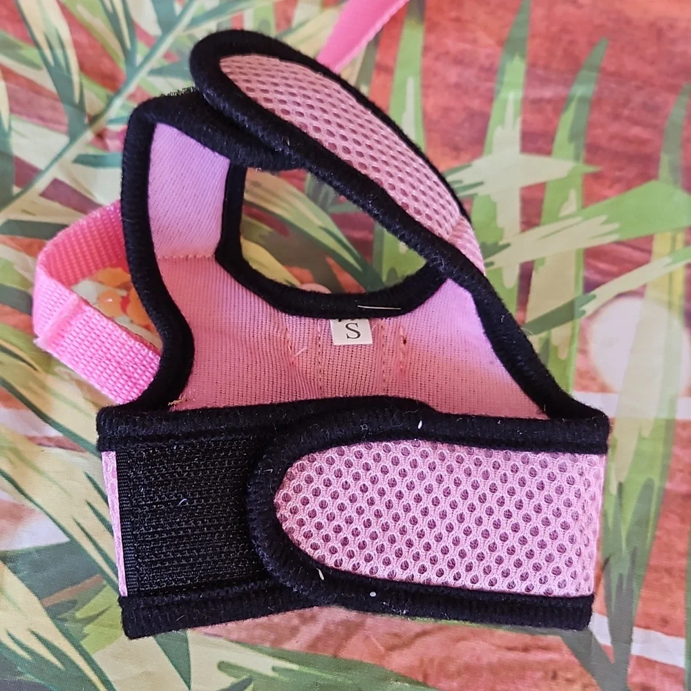 A1) Small cat harness